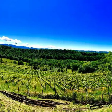 Bed and Breakfast Relais Tenuta Gentili